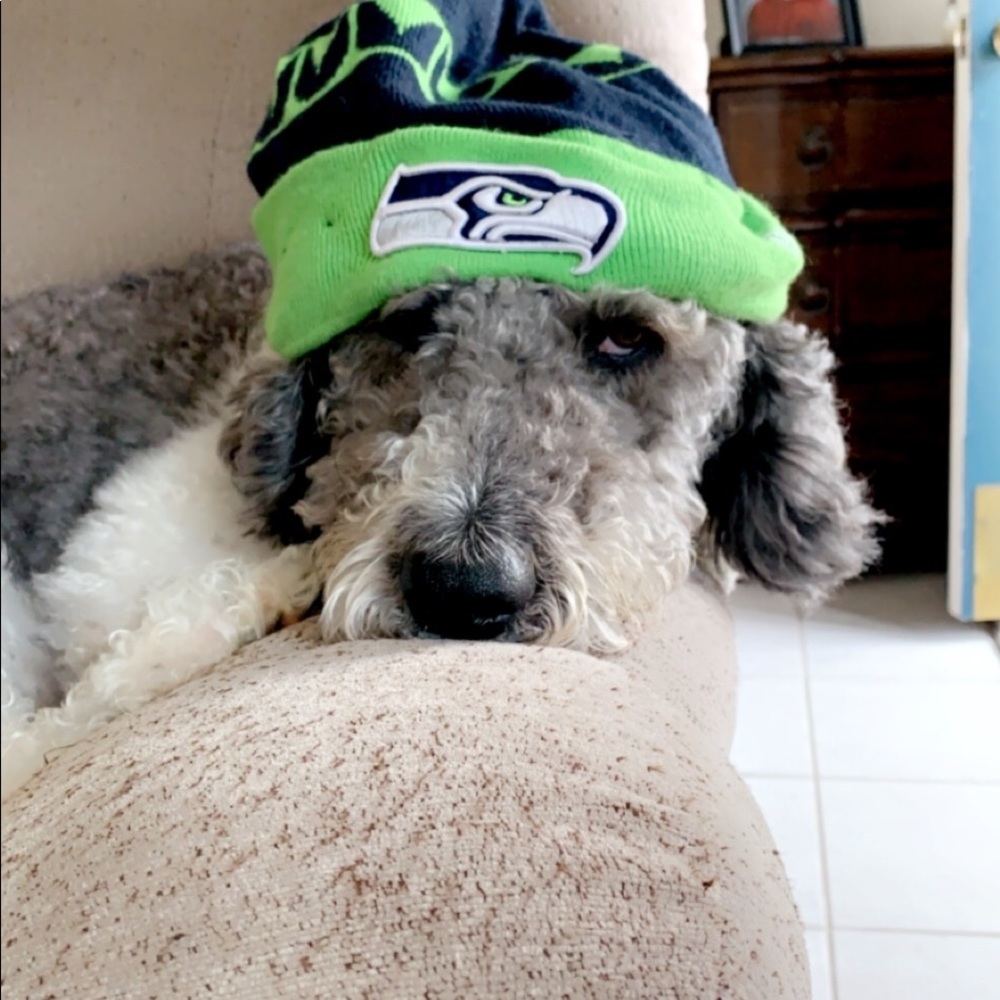 Meet your Posher, Tricia